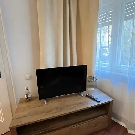 Tampa * Brașov
